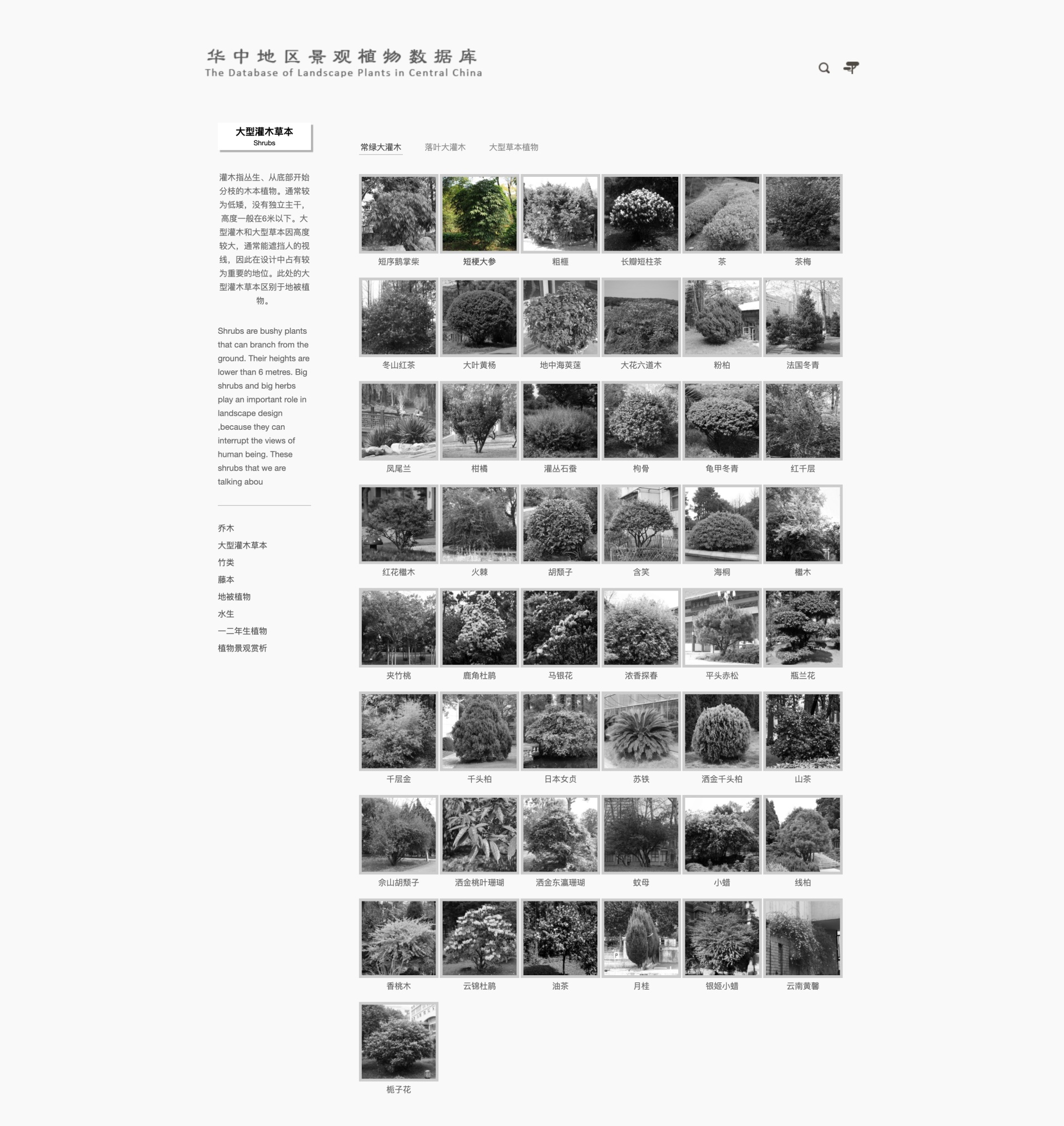 武汉建站-华中景观植物数据库列表页
